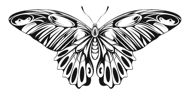 Ilustración de mariposa Arte lineal