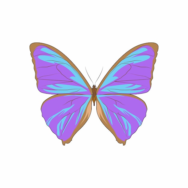 Ilustración de mariposa colorida para uso múltiple