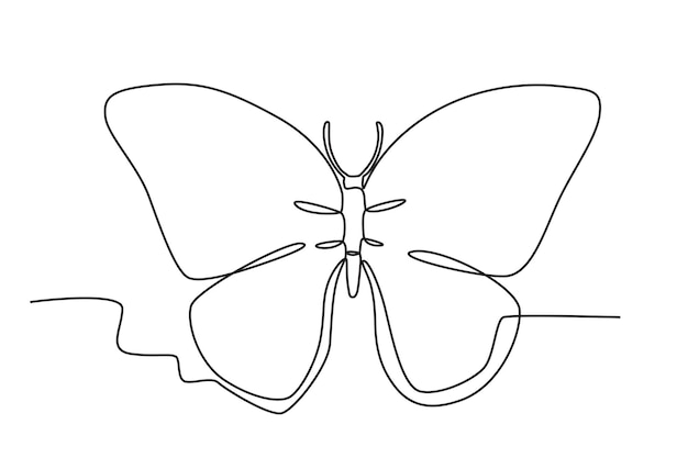 Ilustración de una mariposa dibujo en línea de mariposa