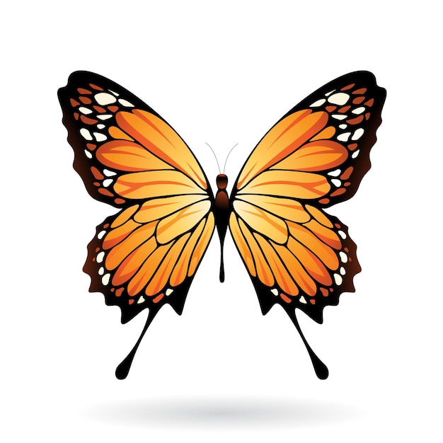 Ilustración de mariposa naranja y negra