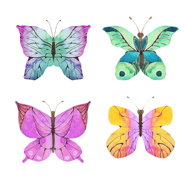 Ilustración de mariposas coloridas acuarela