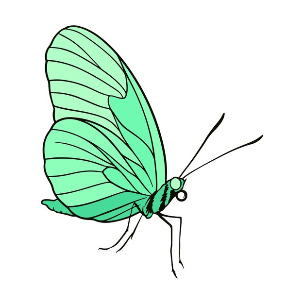 Ilustración de mariposas vectoriales antiguas