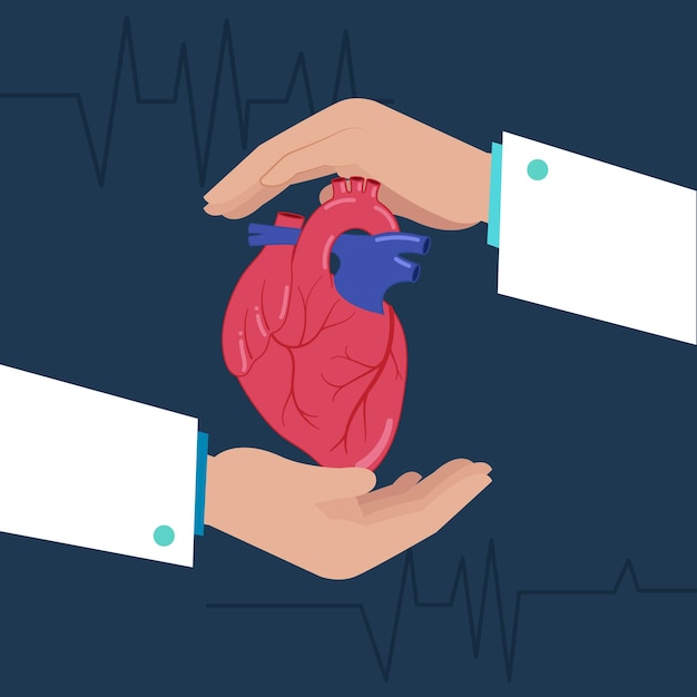 Ilustración médica de manos sosteniendo un corazón humano con fondo de latidos cardíacos