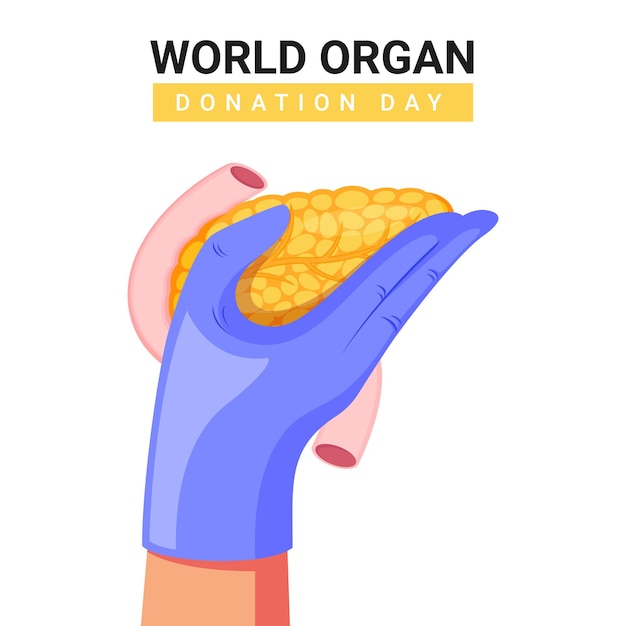 Ilustración médica del timo humano y diseño de vectores para el día mundial de la donación de órganos