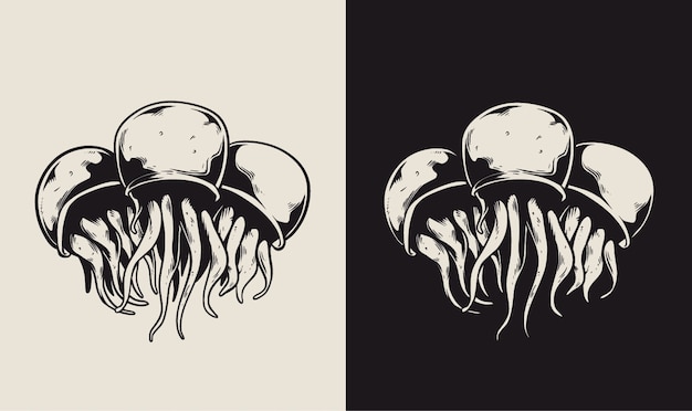 Vector ilustración de medusas