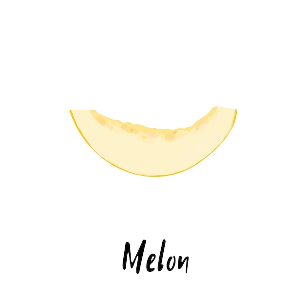Ilustración de un melón aislado sobre un fondo blanco.