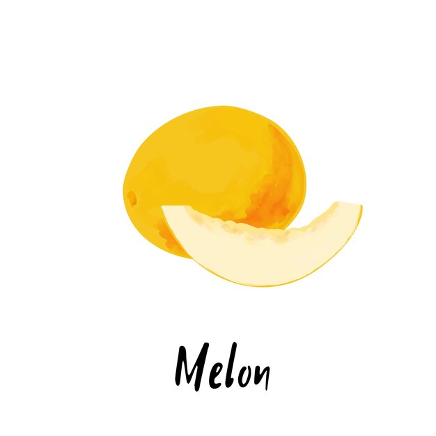 Ilustración de un melón aislado sobre un fondo blanco.