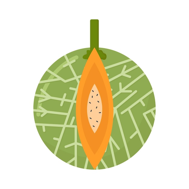 Ilustración del melón