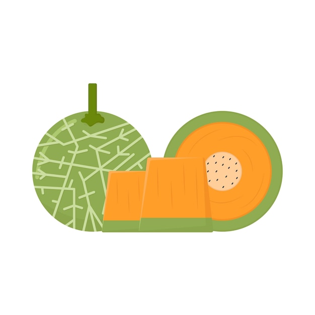 Ilustración del melón