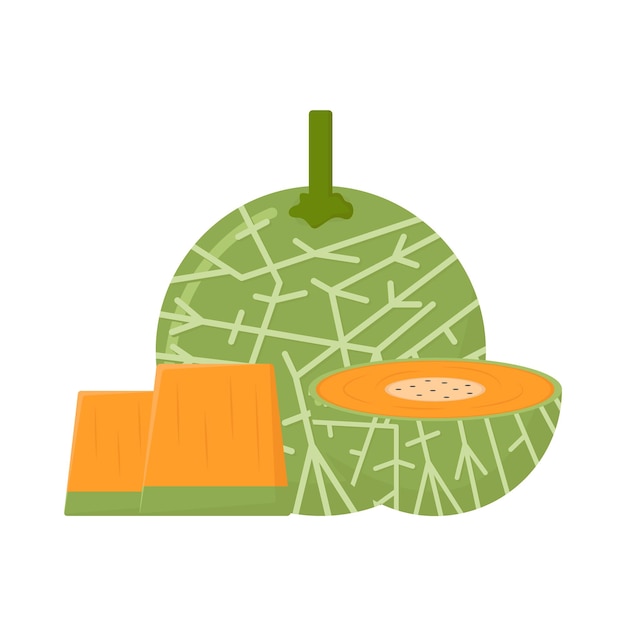 Ilustración del melón