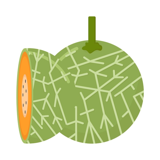 Ilustración del melón