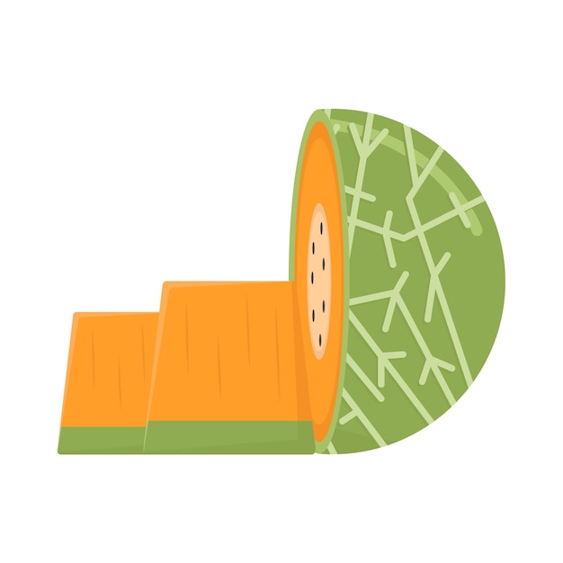 Ilustración del melón