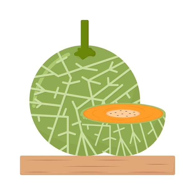 Ilustración del melón