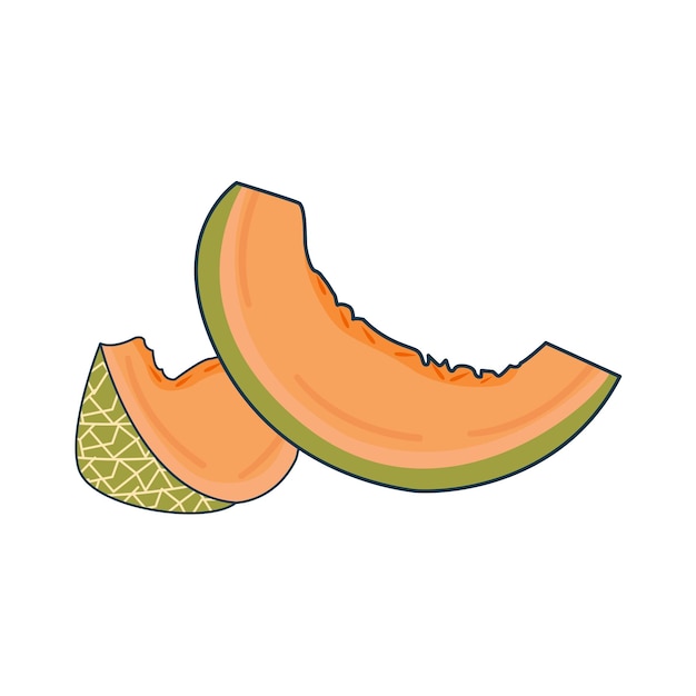 Vector ilustración de melón