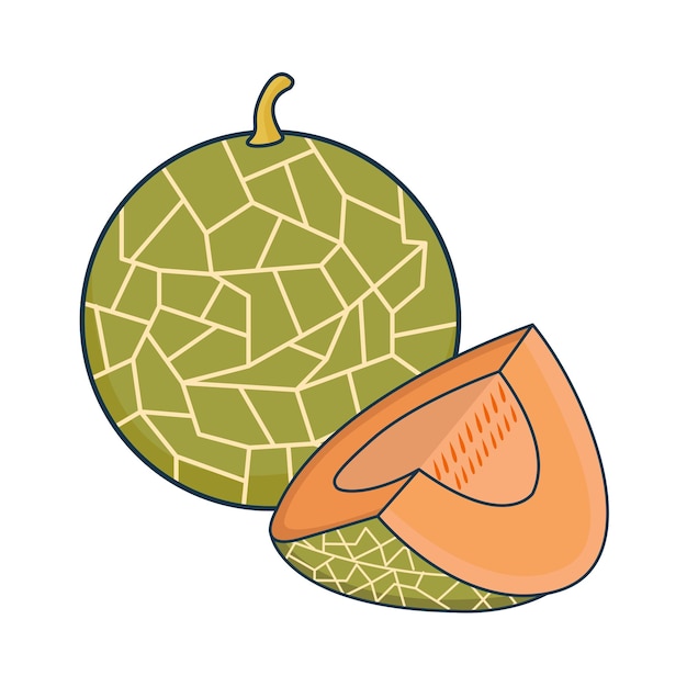 Ilustración de melón