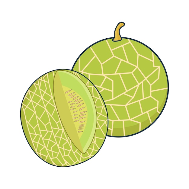 Ilustración del melón