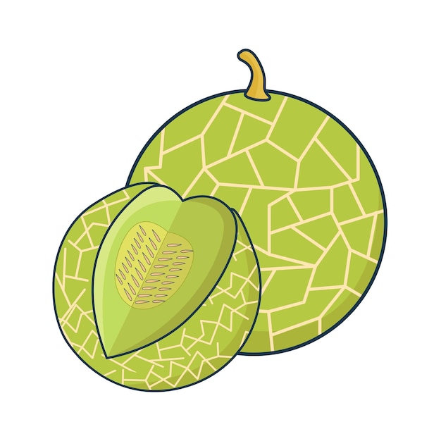 Ilustración de melón