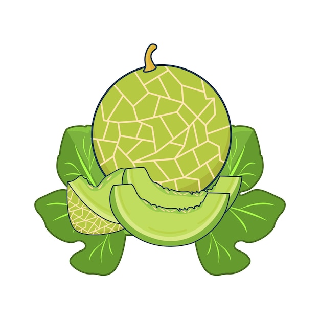 Ilustración del melón