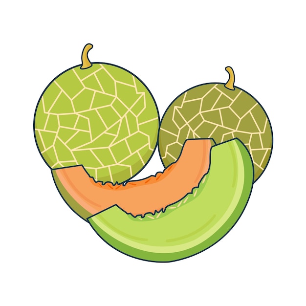 Ilustración del melón