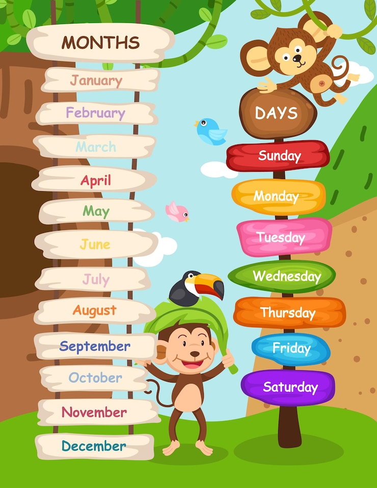 Vector ilustración, de, meses, y, día, vector