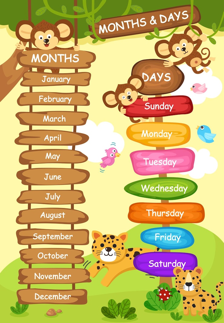 Vector ilustración, de, meses, y, día, vector