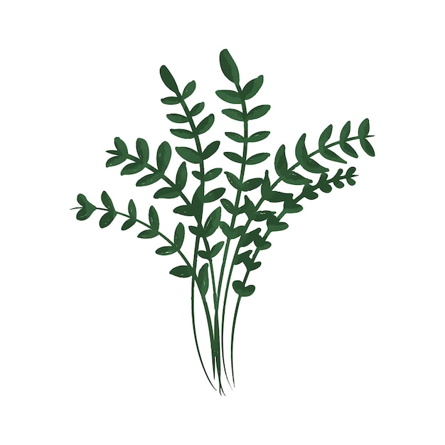 Ilustración de micro greens dibujada a mano del desarrollo de la planta desde el grano hasta el brote