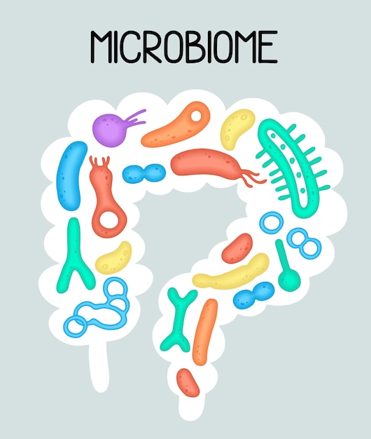 Ilustración de microbioma humano con intestinos y bacterias Imagen vectorial Gastroenterólogo