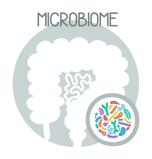 Ilustración de microbioma humano con intestinos y bacterias Imagen vectorial Gastroenterólogo