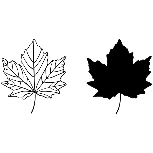 Ilustración minimalista de hoja negra con versiones de silueta y contorno lineal simple