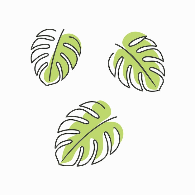 Ilustración minimalista de hojas tropicales sobre fondo blanco