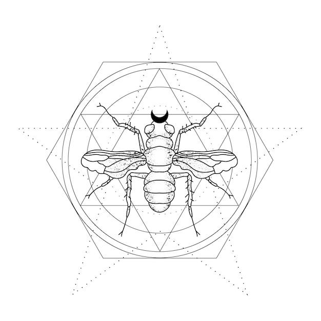 Ilustración mística con un insecto. Arte lineal para el diseño de tatuajes. Vector de contorno