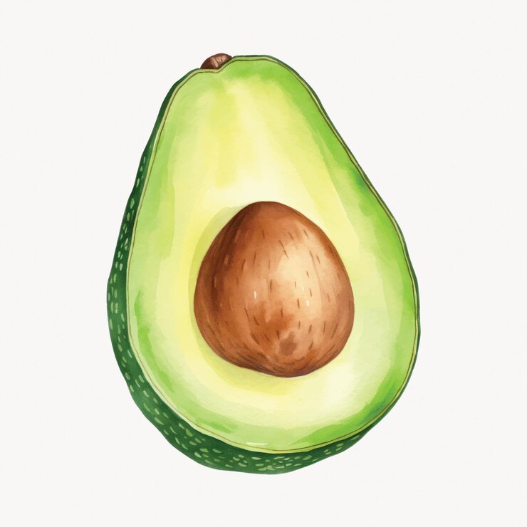 Vector ilustración de la mitad de un aguacate fresco