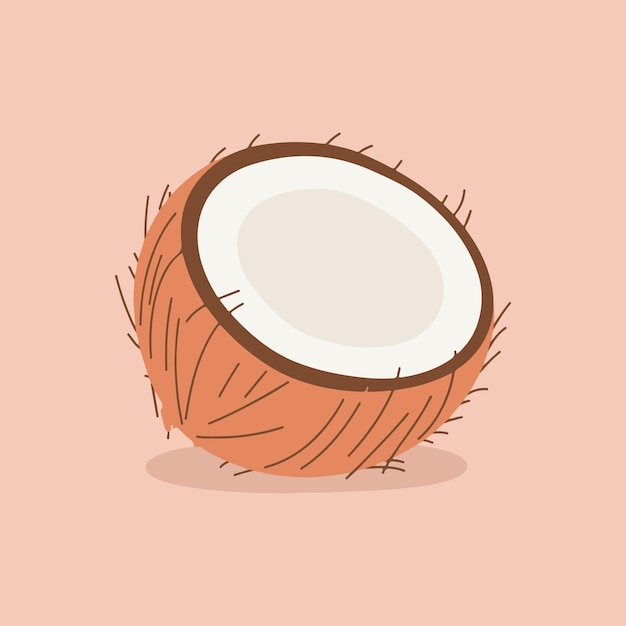 Ilustración de la mitad de un coco