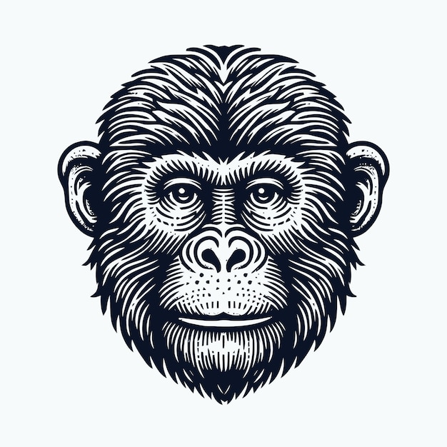 Ilustración de un mono con estilo de grabado