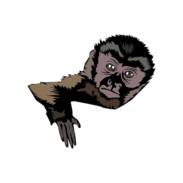 Ilustración del mono