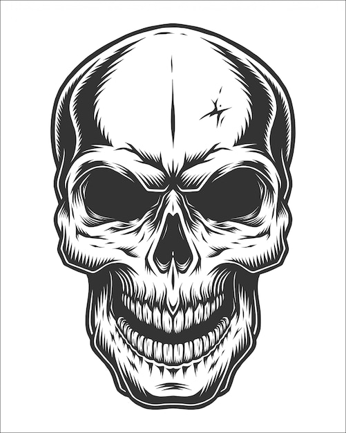 Imágenes de Calavera Dibujo - Descarga gratuita en Freepik