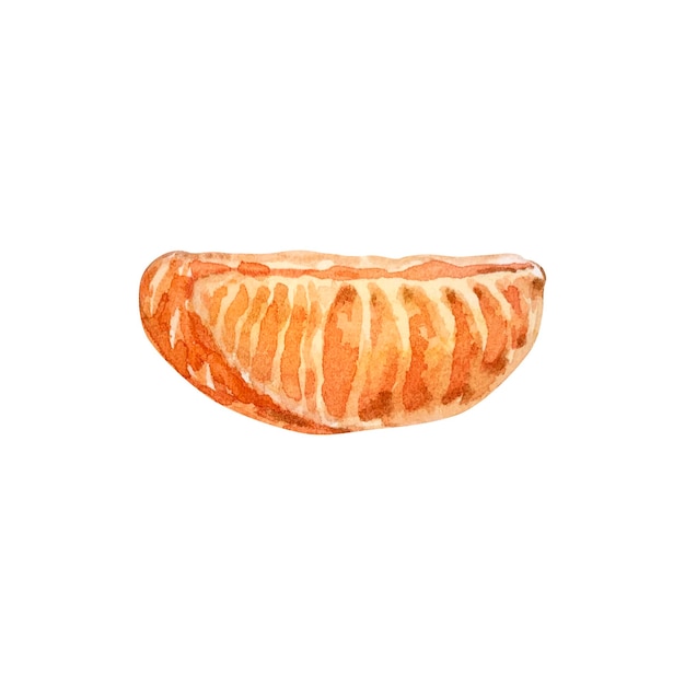 Vector ilustración de navidad acuarela de una rodaja de mandarina aislada sobre fondo blanco.