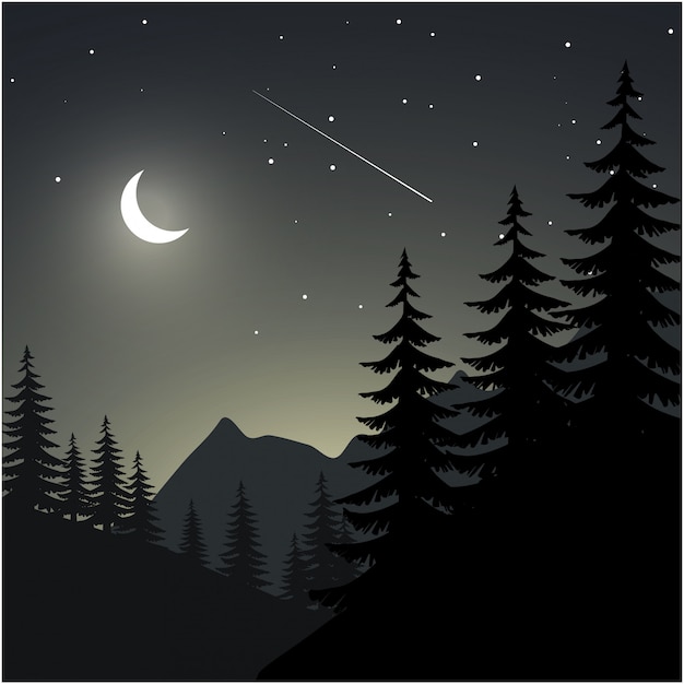 Vector ilustración nocturna con silueta de árbol de pino, montaña, luna y estrellas