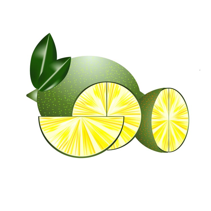 Vector ilustración o fragmento de calamansi aislado sobre un fondo transparente