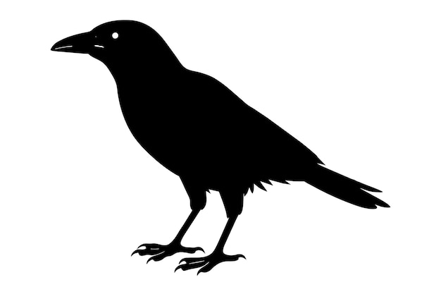 Ilustración y obra de arte del vector del cuervo 10