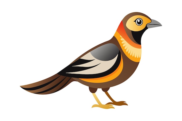 Una ilustración de una obra de arte vectorial de Martin Bird