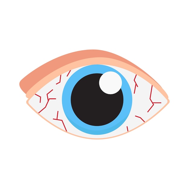 Vector ilustración, de, ojo