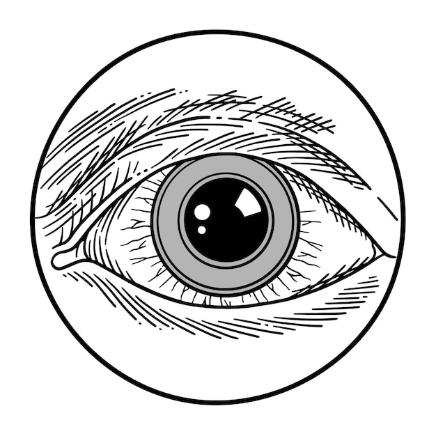 ilustración del ojo
