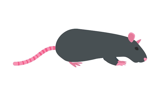 Ilustración de opossum dibujada a mano