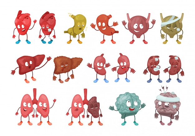 Ilustración de órgano de personaje de dibujos animados humanos, feliz conjunto de órgano de cuerpo de anatomía saludable o triste no saludable, aislado en blanco