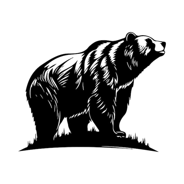 Ilustración del oso pardo