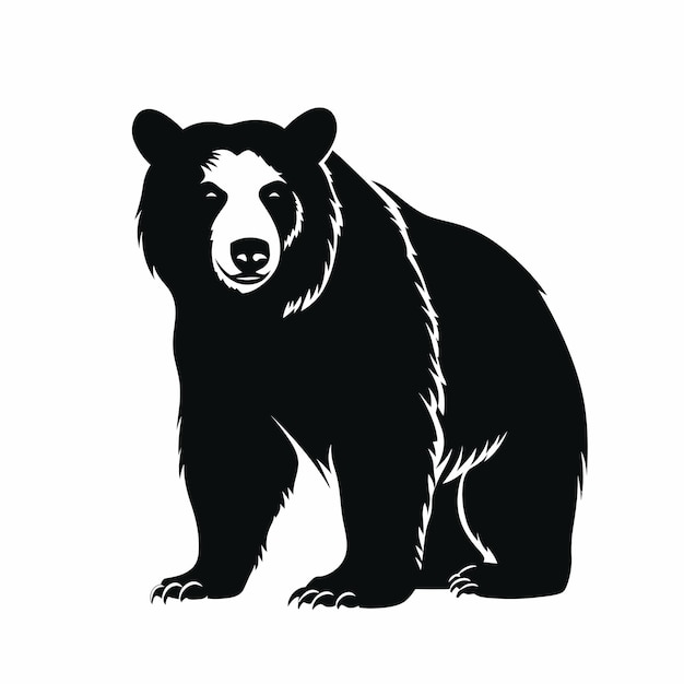 Vector ilustración de oso