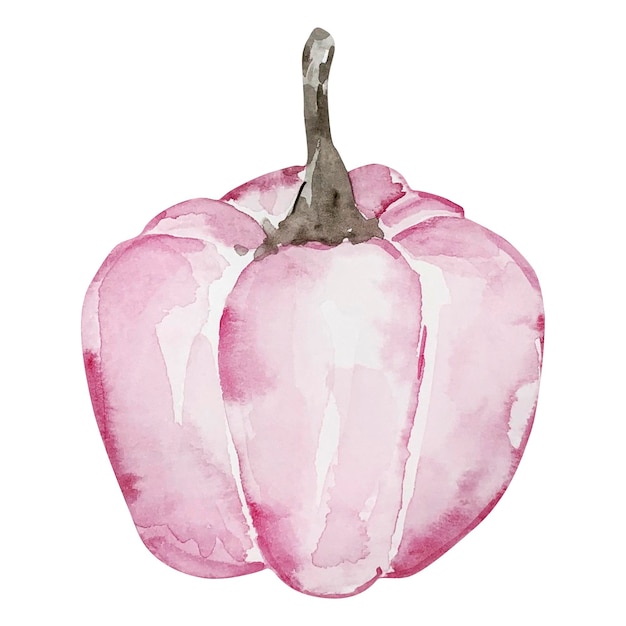 Ilustración de otoño de calabaza rosada en acuarela para diseño e impresión