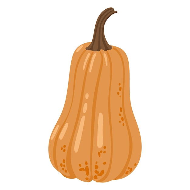 Ilustración de otoño del vector de fondo blanco aislado de calabaza