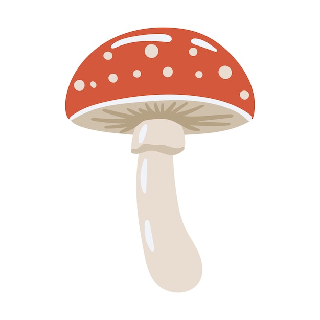 Ilustración de otoño del vector de fondo blanco aislado de setas